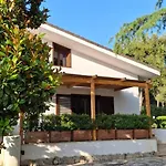 Solepineta Matino