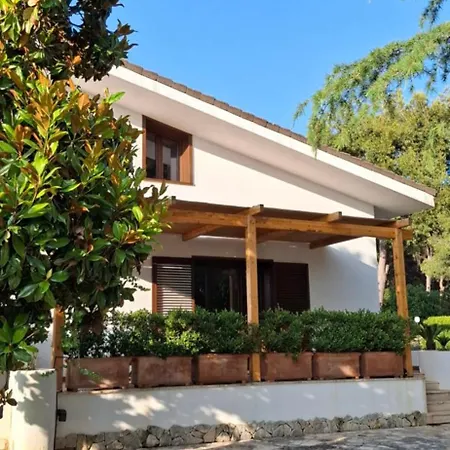 Solepineta Matino