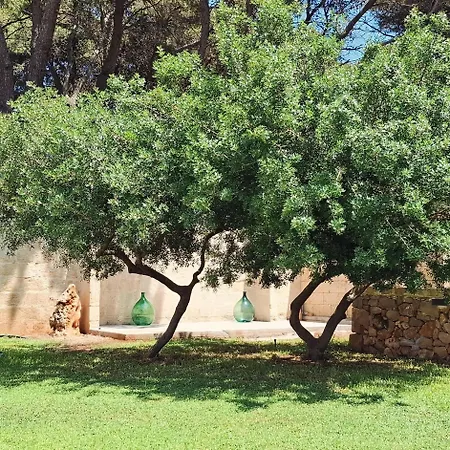 Solepineta 3* Matino